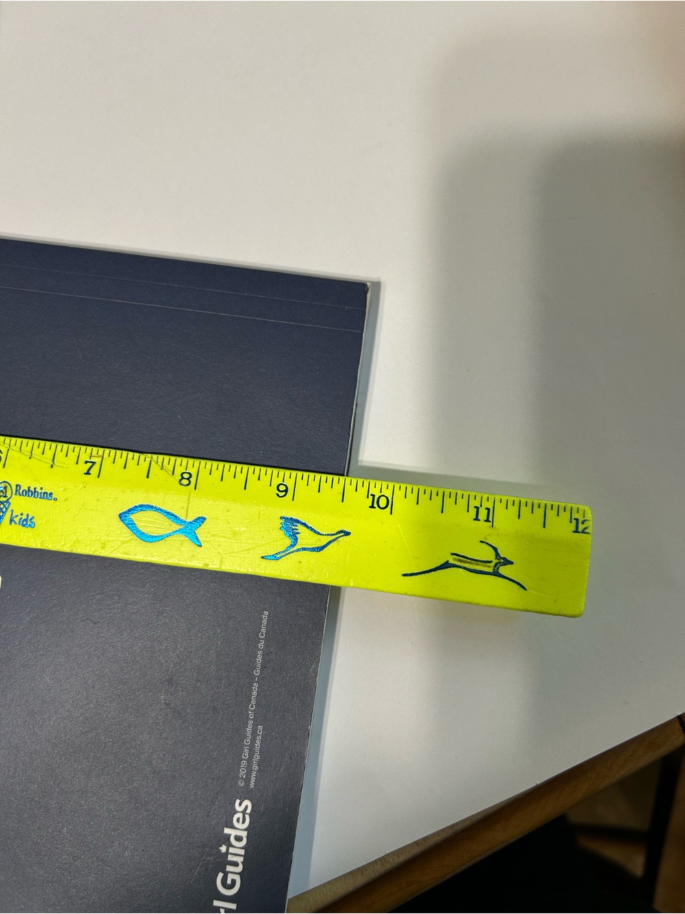 4/$20 Girl Guides of Canada “Growing and Guiding” My Guide Journal 2019 Unused. - Picture 14 of 14
